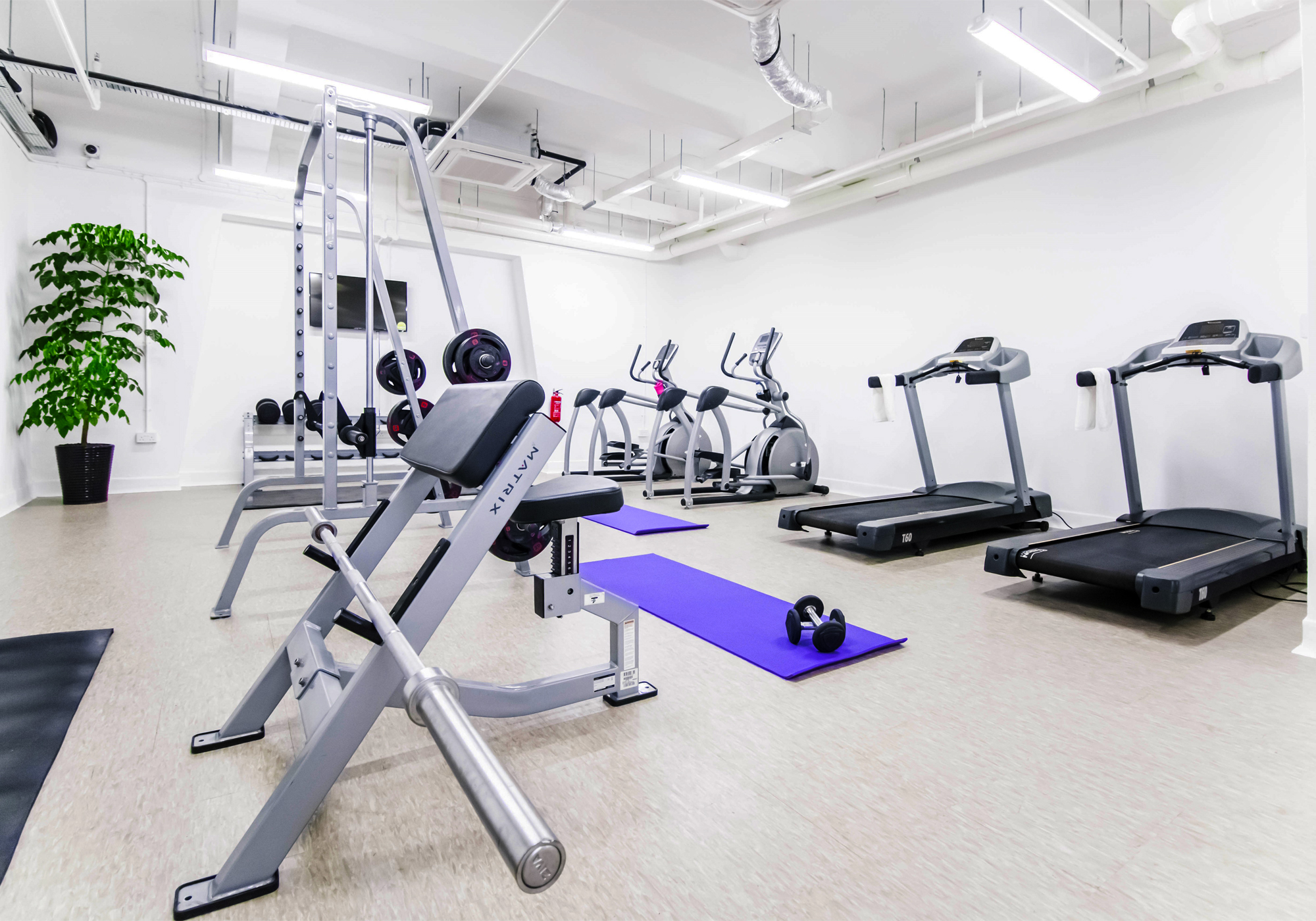 Photo Collage Cooliv 7